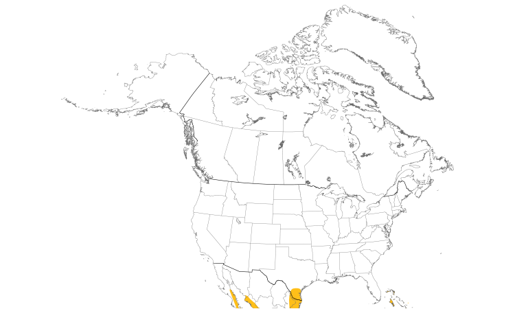 Range Map (North): Least Grebe
