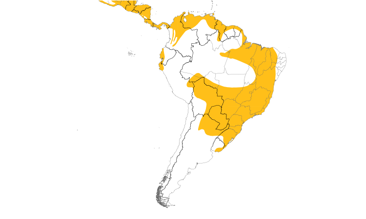 Range Map (South): Least Grebe