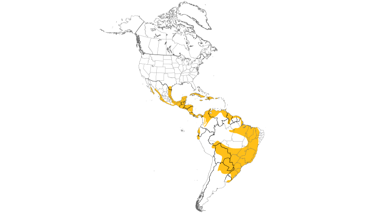 Range Map (Americas): Least Grebe
