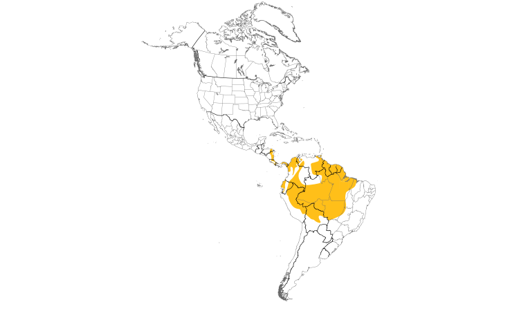 Range Map (Americas): White-shouldered Tanager