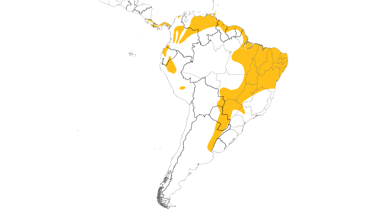 Range Map (South): White-lined Tanager