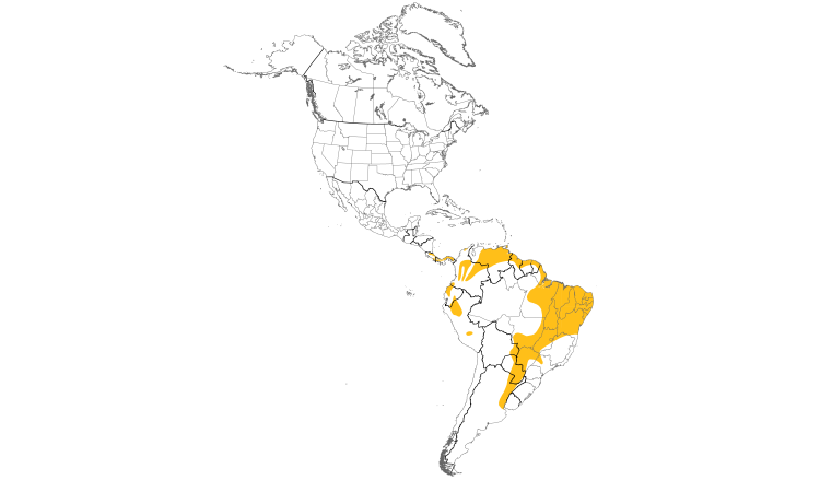 Range Map (Americas): White-lined Tanager