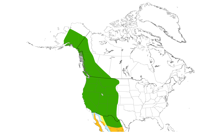 Range Map (North): Violet-green Swallow