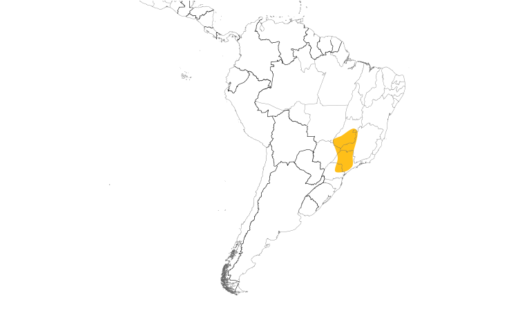 Range Map (South): Dwarf Tinamou