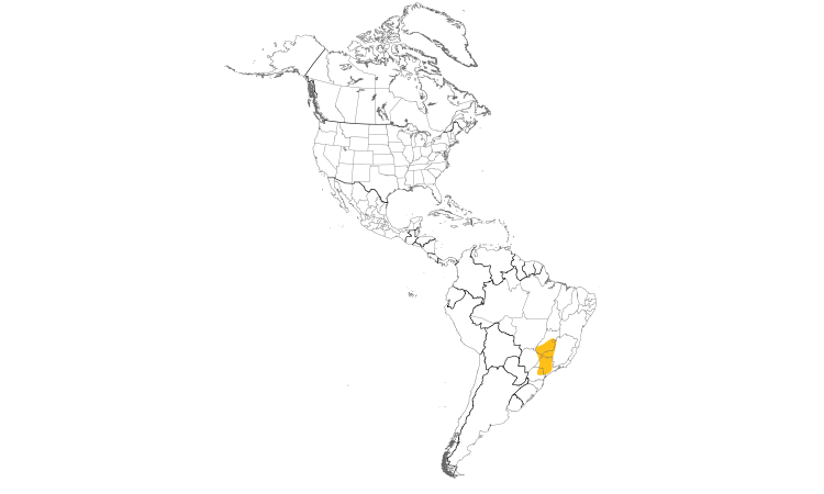 Range Map (Americas): Dwarf Tinamou
