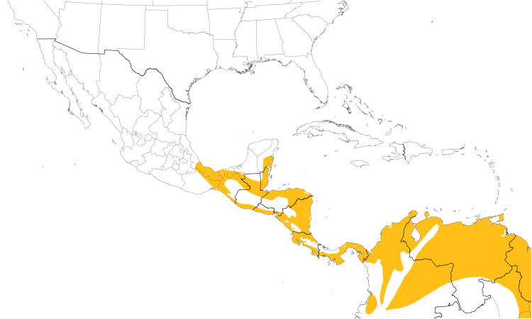Range Map (Central): Striped Cuckoo