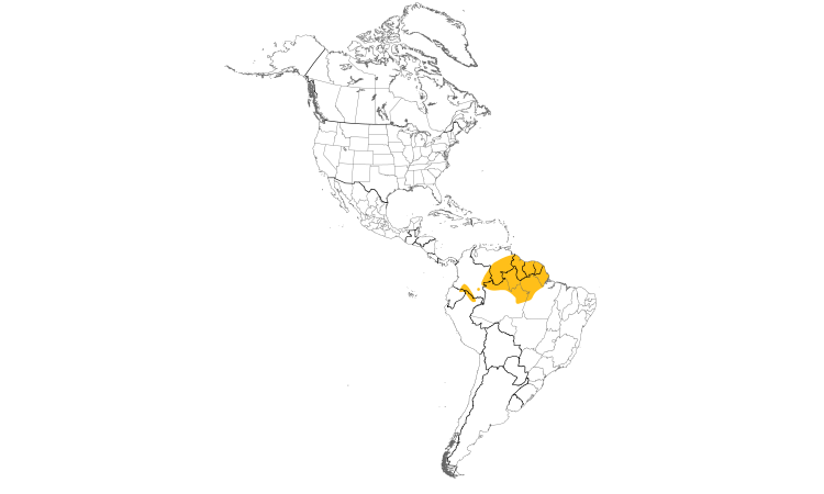 Range Map (Americas): Ash-winged Antwren