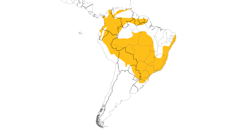 Range Map (South): Swallow Tanager
