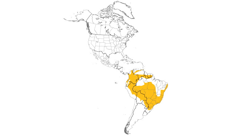 Range Map (Americas): Swallow Tanager