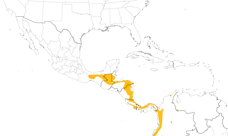 Range Map (Central): Russet Antshrike