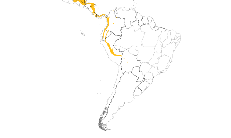 Range Map (South): Russet Antshrike