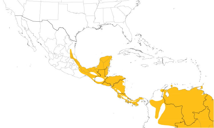 Range Map (Central): Barred Antshrike