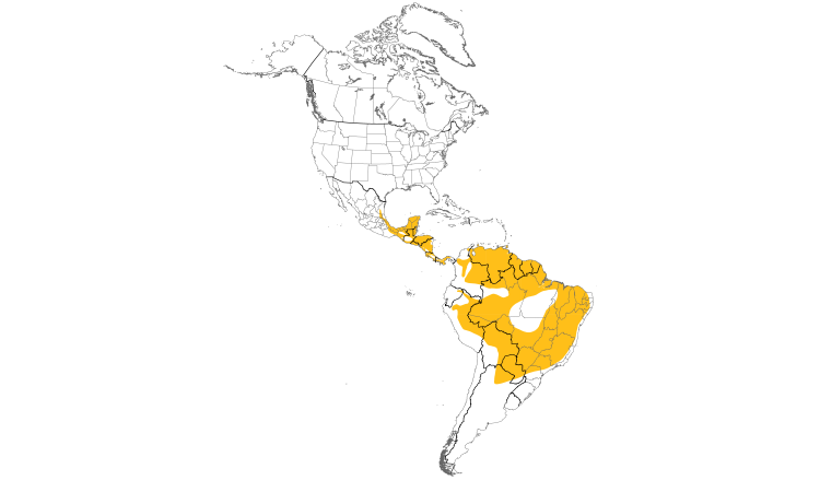 Range Map (Americas): Barred Antshrike