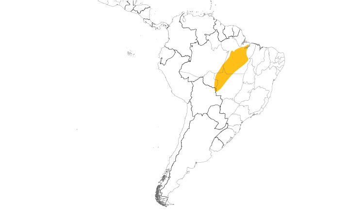 Range Map (South): Natterer's Slaty-Antshrike