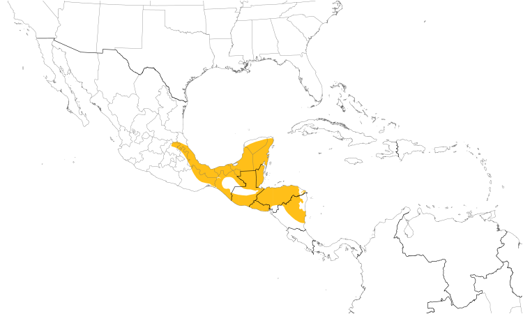 Range Map (Central): Yellow-winged Tanager