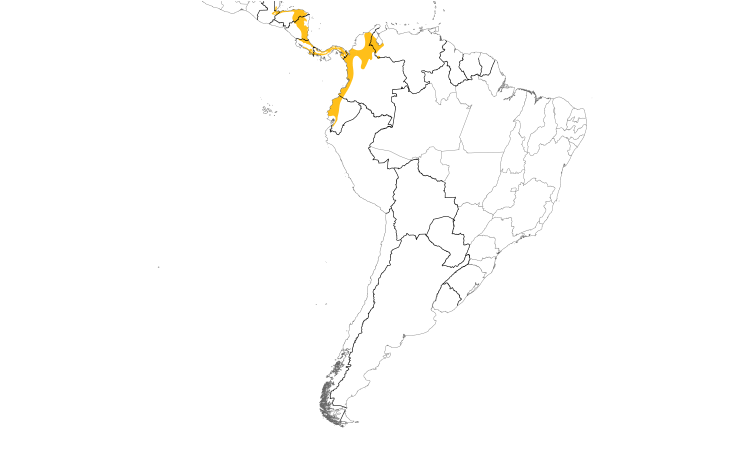 Range Map (South): Band-tailed Barbthroat