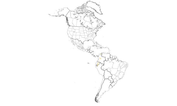 Range Map (Americas): Flammulated Treehunter