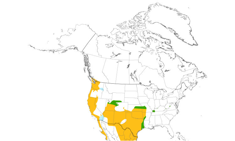 Range Map (North): Bewick's Wren