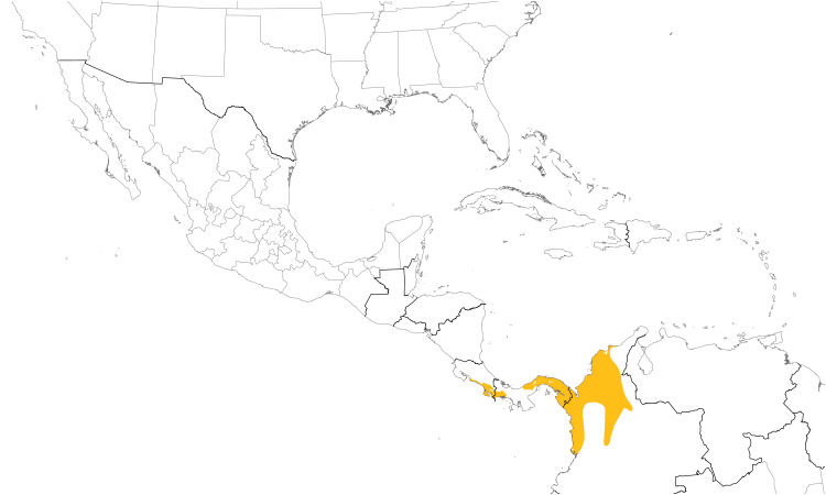 Range Map (Central): Black-bellied Wren