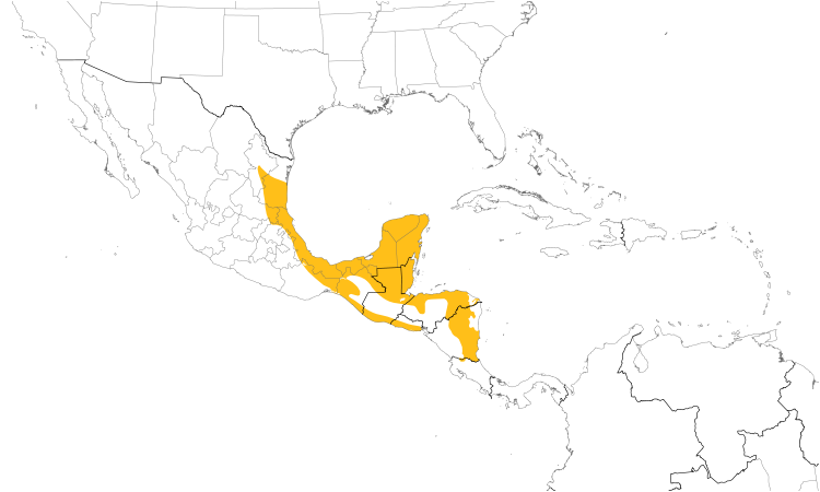 Range Map (Central): Spot-breasted Wren