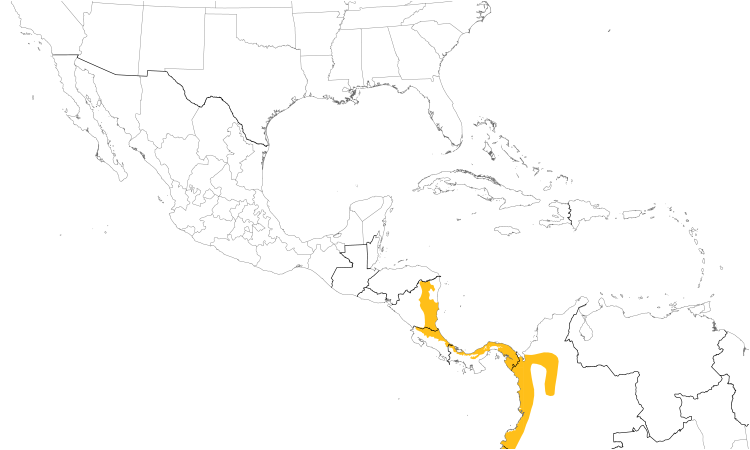 Range Map (Central): Bay Wren