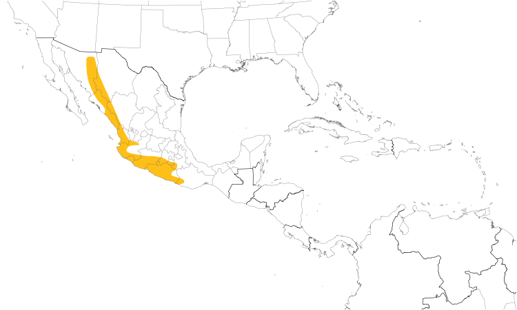 Range Map (Central): Sinaloa Wren