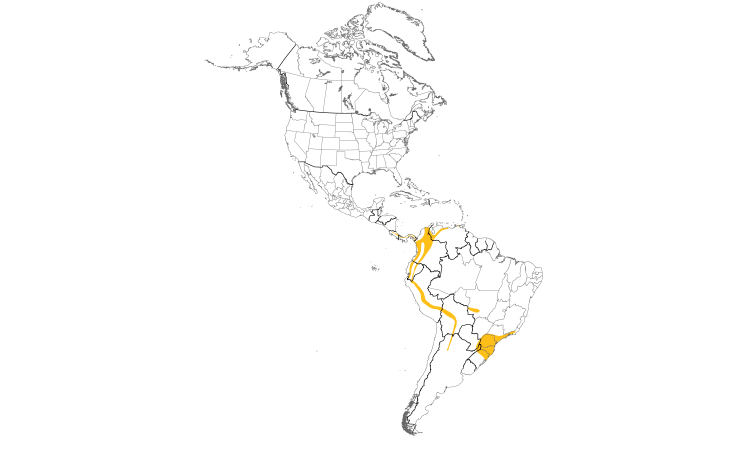 Range Map (Americas): Fasciated Tiger-Heron
