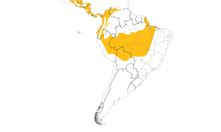 Range Map (South): Masked Tityra