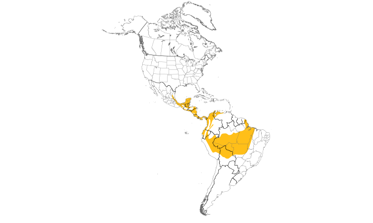 Range Map (Americas): Masked Tityra