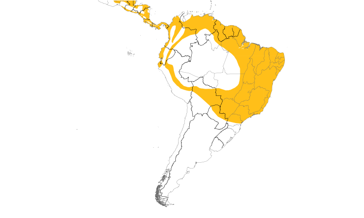 Range Map (South): Common Tody-Flycatcher