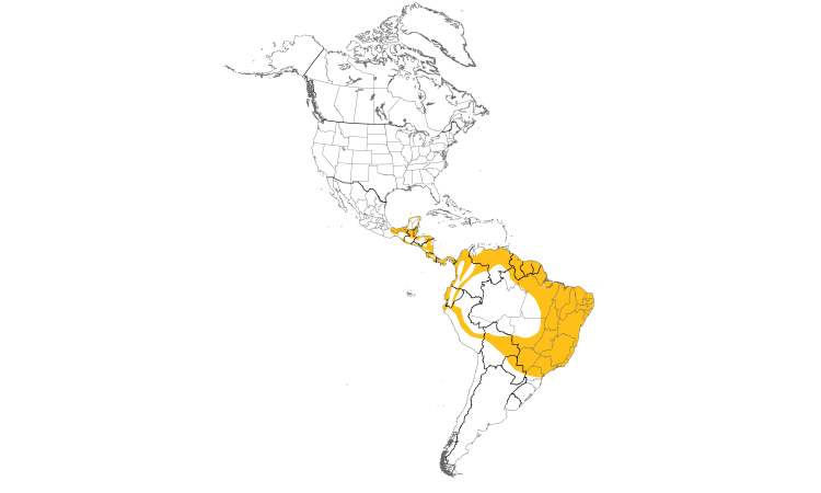 Range Map (Americas): Common Tody-Flycatcher
