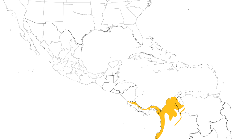 Range Map (Central): Black-headed Tody-Flycatcher