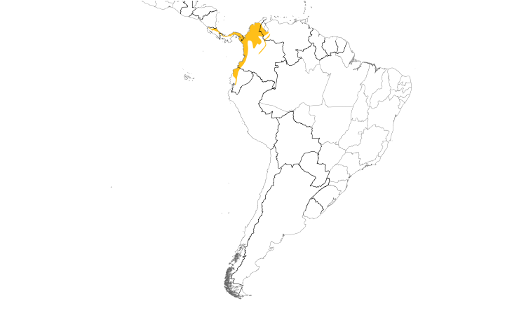 Range Map (South): Black-headed Tody-Flycatcher
