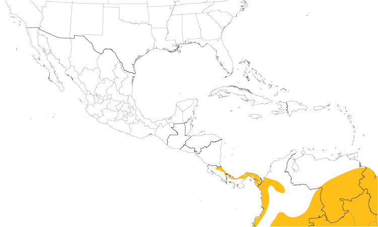 Range Map (Central): Yellow-margined Flycatcher