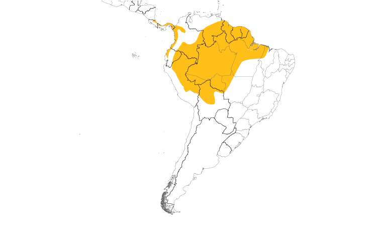 Range Map (South): Yellow-margined Flycatcher