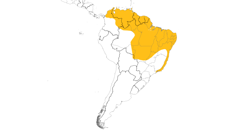 Range Map (South): Yellow-breasted Flycatcher