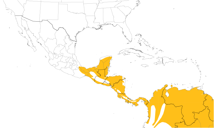 Range Map (Central): Yellow-olive Flycatcher