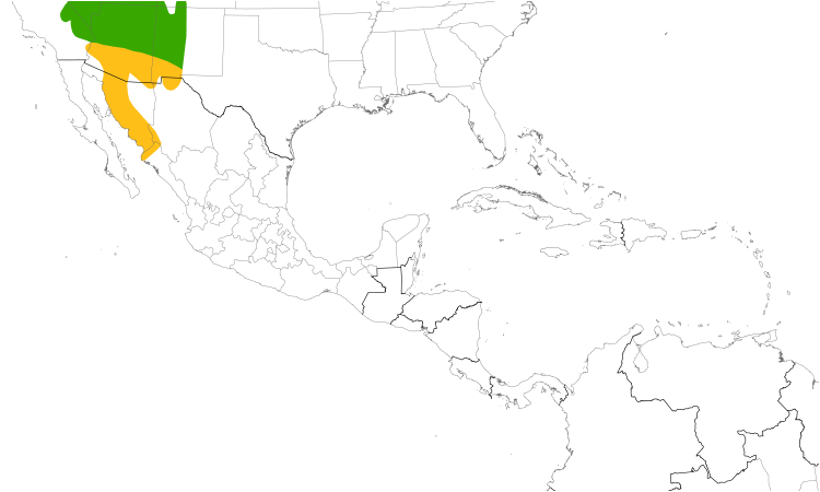 Range Map (Central): Bendire's Thrasher