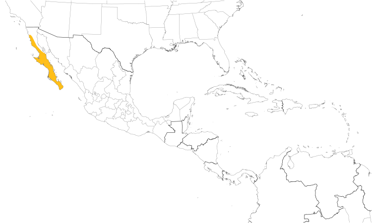 Range Map (Central): Gray Thrasher