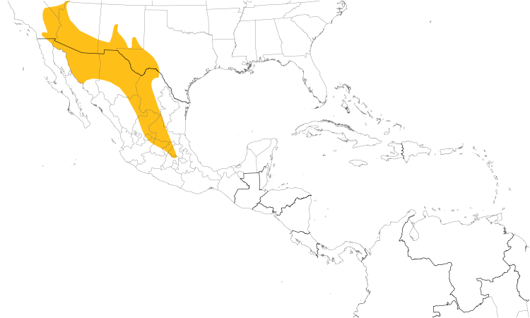Range Map (Central): Crissal Thrasher