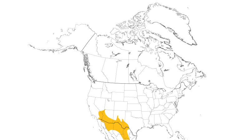 Range Map (North): Crissal Thrasher