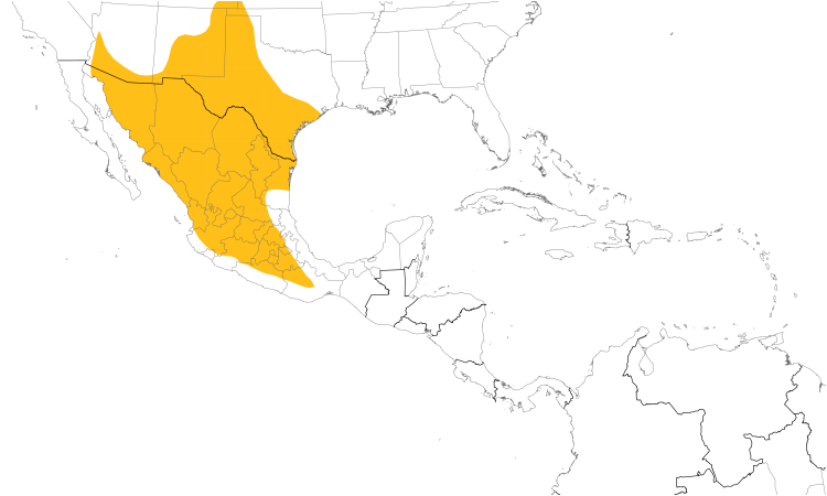 Range Map (Central): Curve-billed Thrasher