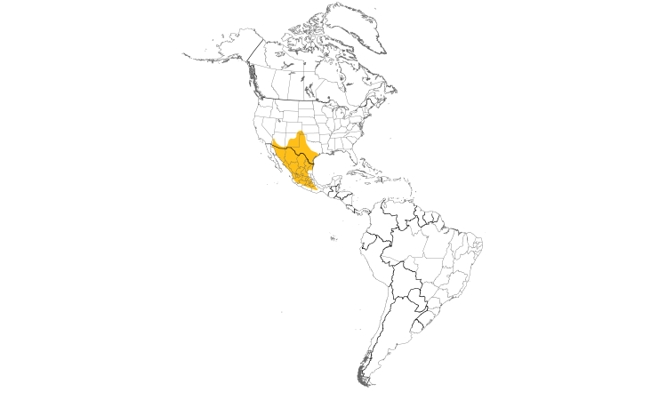 Range Map (Americas): Curve-billed Thrasher