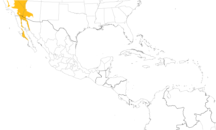Range Map (Central): Le Conte's Thrasher
