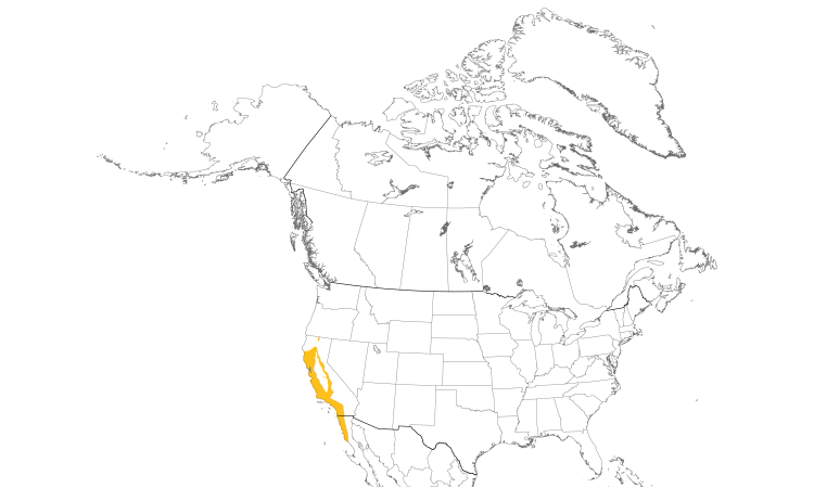 Range Map (North): California Thrasher