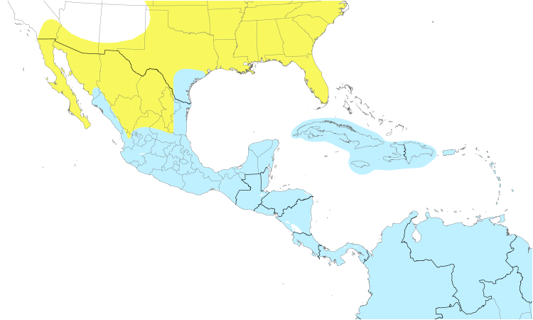 Carte de répartition  (Central): Chevalier solitaire