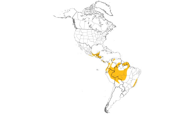 Range Map (Americas): Collared Trogon