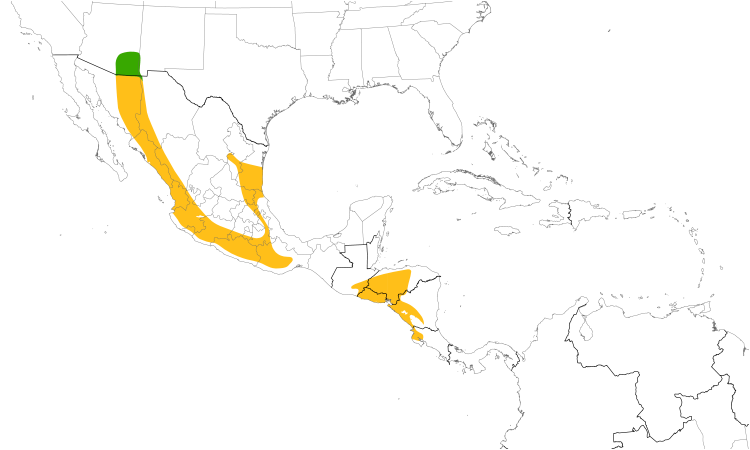 Range Map (Central): Elegant Trogon