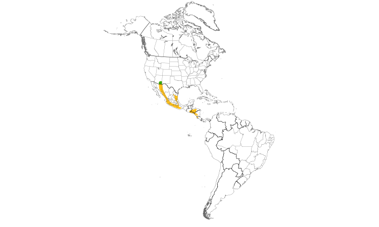 Range Map (Americas): Elegant Trogon