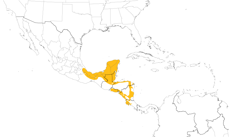 Range Map (Central): Black-headed Trogon